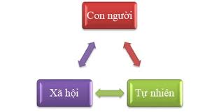tác động của con người đối với môi trường