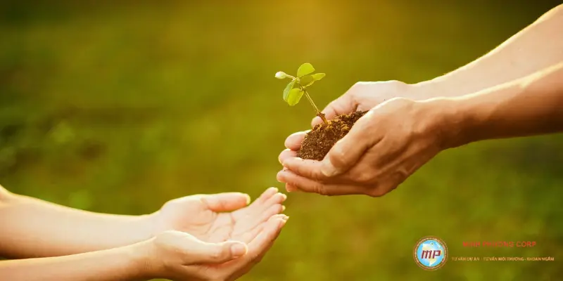 Thủ Tục Thẩm Định Báo Cáo ĐTM