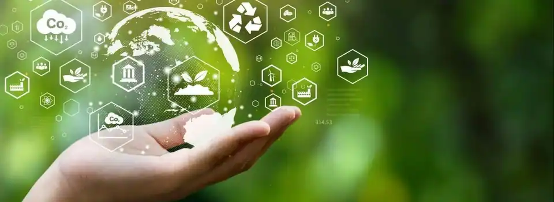 Dịch vụ tư vấn môi trường, lập báo cáo tác động DTM chuyên nghiệp