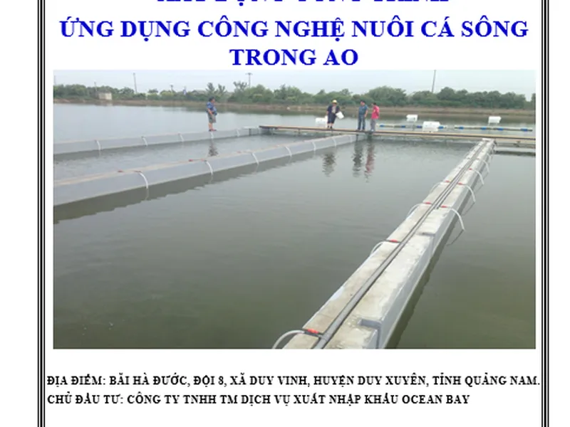 Xây dựng hệ thống công nghệ nuôi cá sông trong ao