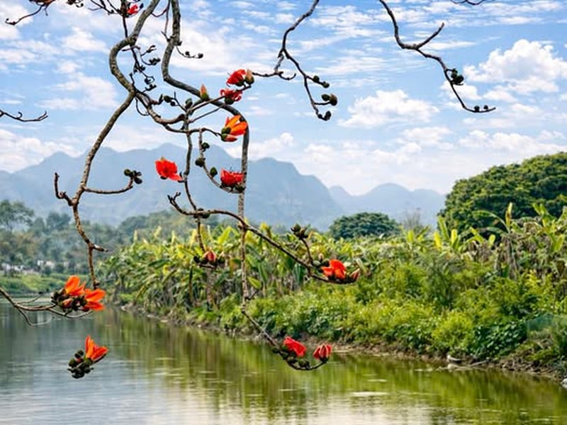 phạm vi lập Báo cáo nghiên cứu khả thi, các trường hợp chỉ lập Báo cáo kinh tế - kỹ thuật