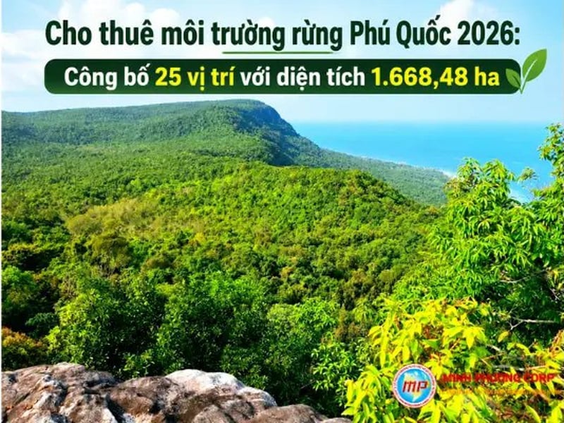 Cho thuê môi trường rừng Phú Quốc 2026: Công bố 25 vị trí với diện tích 1.668,48 ha