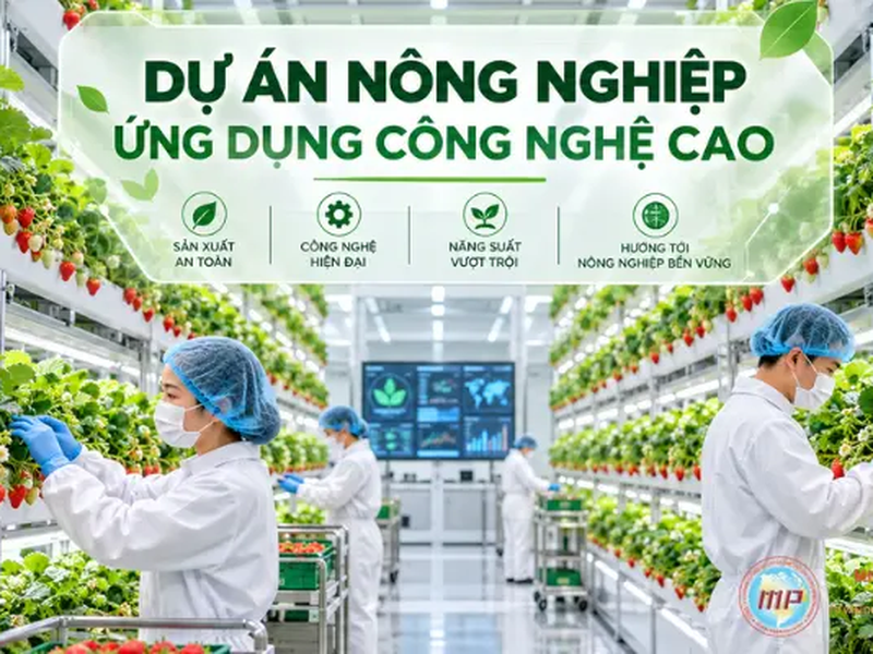 Dự Án Nông Nghiệp Ứng Dụng Công Nghệ Cao: Quy Trình Đầu Tư Mới Nhất 2026