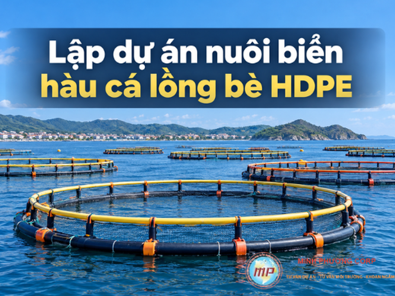 Lập dự án nuôi biển hàu cá lồng bè HDPE: Chi phí và hiệu quả