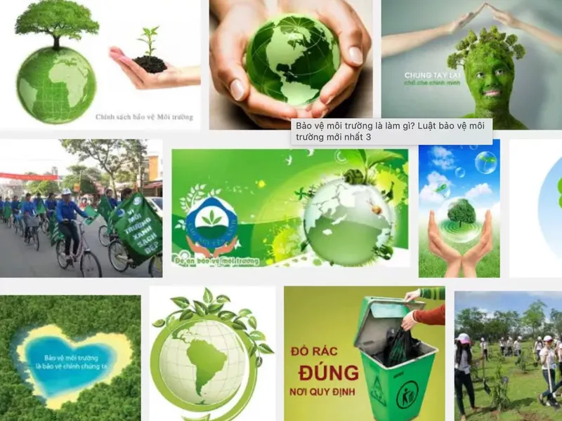 Báo cáo giám sát môi trường hỗ trợ thực thi luật bảo vệ môi trường như thế nào?