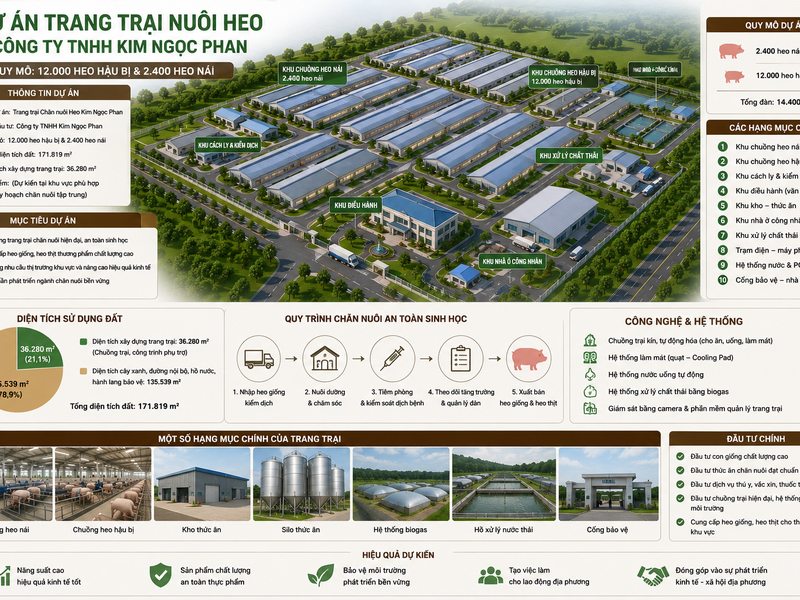 Trình tự đầu tư xây dựng dự án