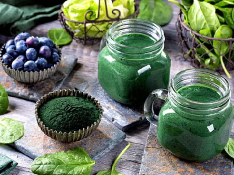 Dự án chế biến sản phẩm từ tảo xoắn Spirulina