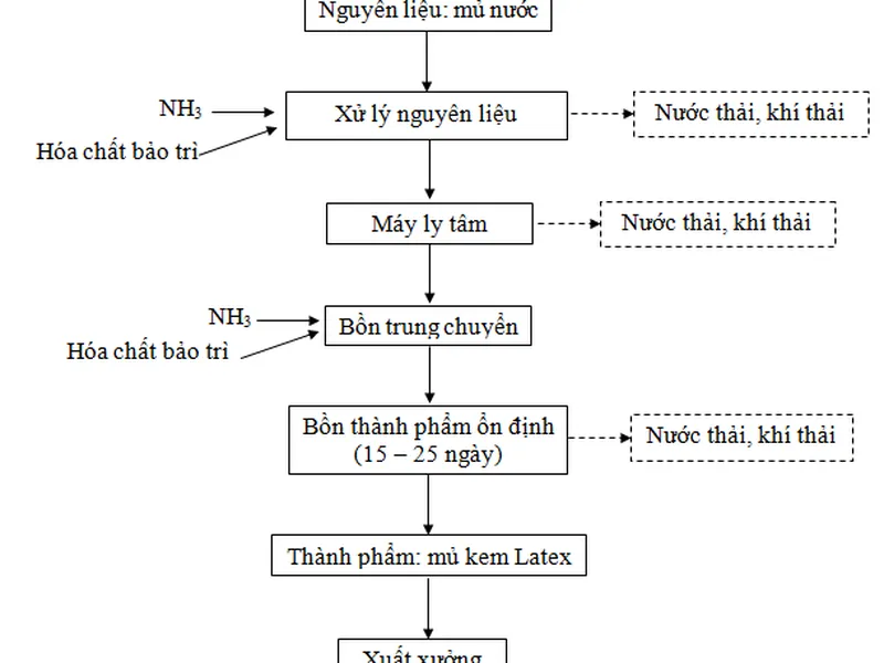 Báo cáo đề xuất cấp GPMT dự án nhà máy chế biến cao su
