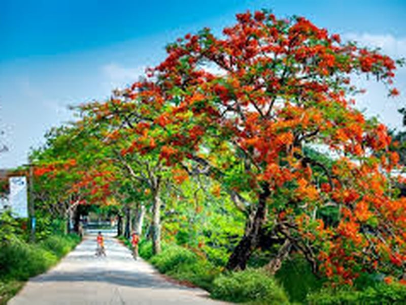 DỰ ÁN ĐẦU TƯ XÂY DỰNG TUYẾN ĐƯỜNG BỘ CAO TỐC NINH BÌNH - HẢI PHÒNG