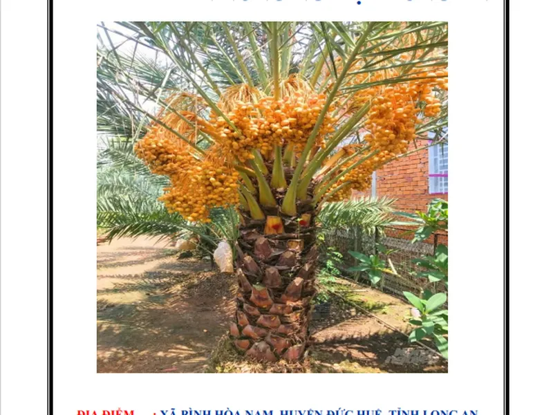 Đầu tư dự án xây dựng phát triển nông nghiệp