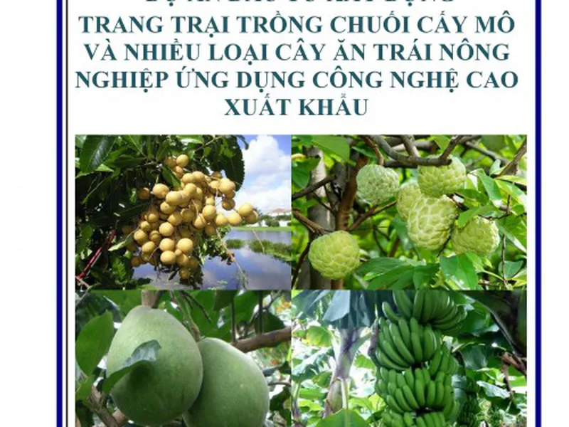 Mẫu dự án đầu tư nông nghiệp công nghệ cao