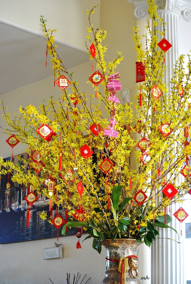 55+ Cách trang trí Tết văn phòng 2026 đẹp, tiết kiệm chi phí nhất 55+ Cách trang trí Tết văn phòng 2026 đẹp, tiết kiệm chi phí nhất