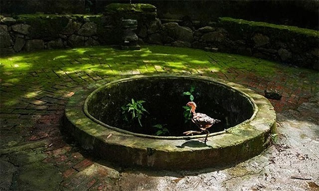 B&agrave;i văn khấn c&uacute;ng giếng đầu năm chuẩn phong tục, cầu t&agrave;i lộc, b&igrave;nh an