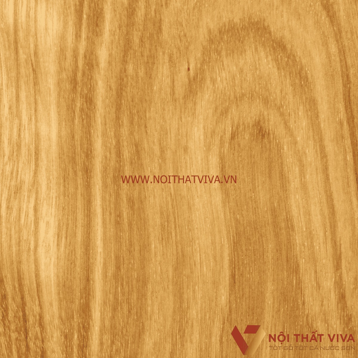 Bàn ghế sofa gỗ hương xám có bền không? Giải đáp chuẩn xác nhất Bàn ghế sofa gỗ hương xám có bền không? Giải đáp chuẩn xác nhất