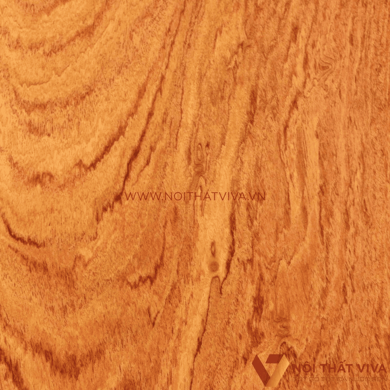 Bàn ghế sofa gỗ hương xám có bền không? Giải đáp chuẩn xác nhất Bàn ghế sofa gỗ hương xám có bền không? Giải đáp chuẩn xác nhất