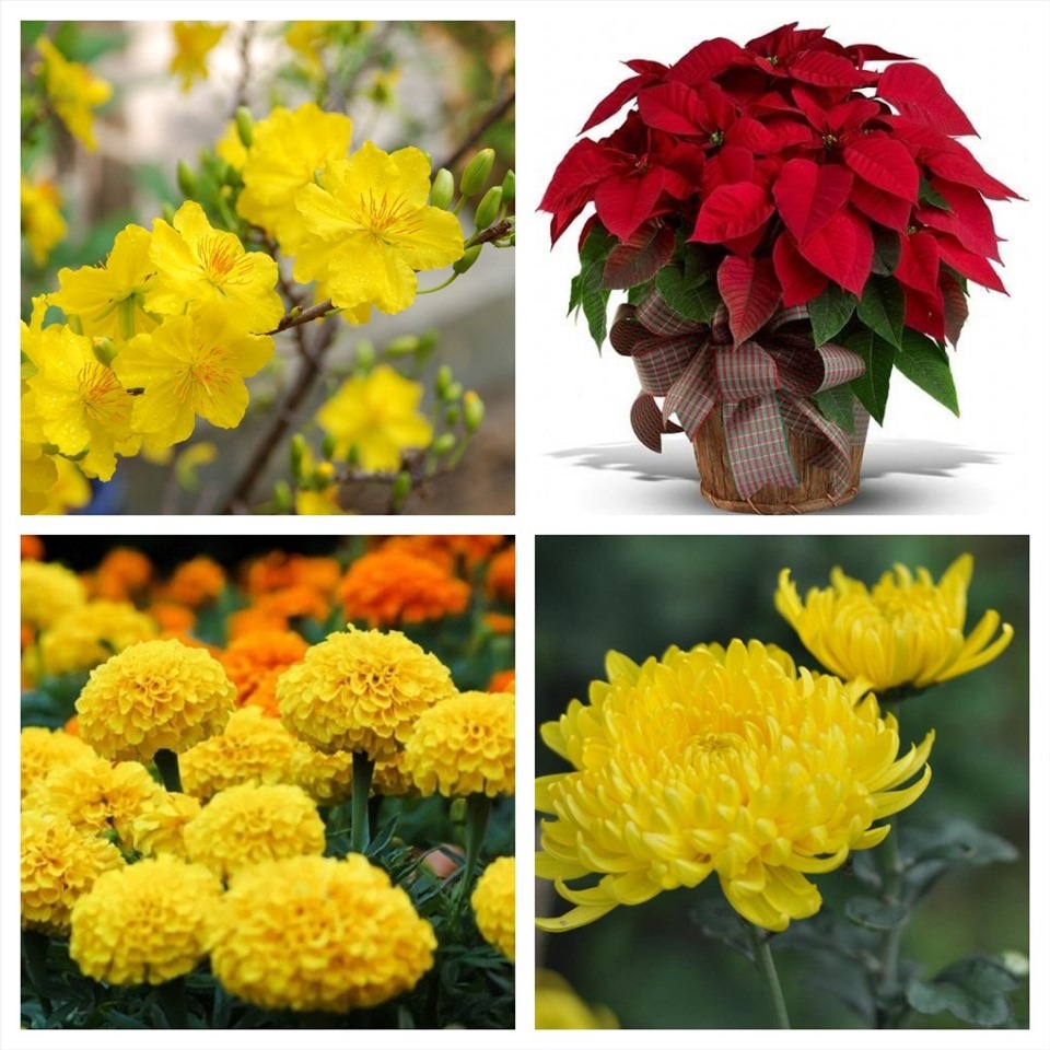 Cách trang trí bàn thờ tổ quốc ngày Tết chuẩn đẹp, tôn nghiêm Cách trang trí bàn thờ tổ quốc ngày Tết chuẩn đẹp, tôn nghiêm