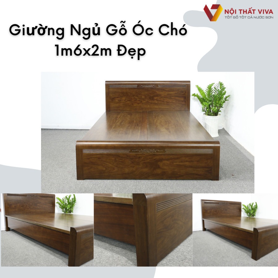 Đừng mua giường ngủ nhập khẩu nếu chưa đọc bài viết này!
