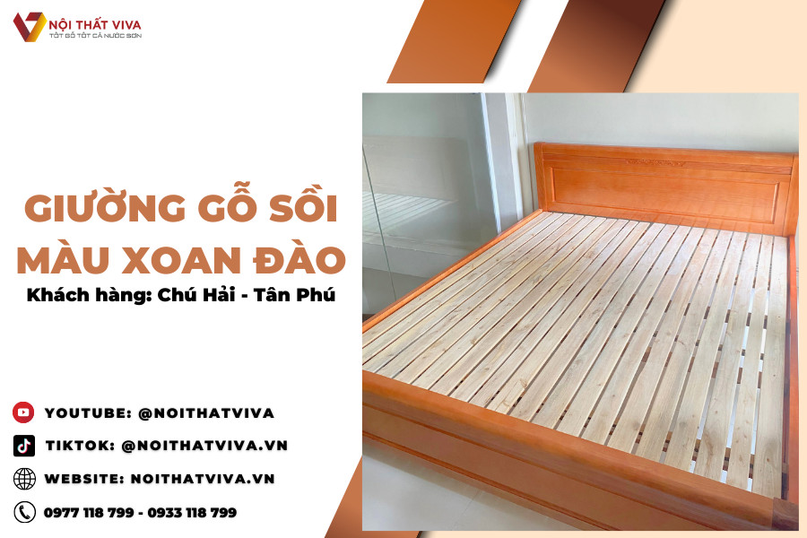 Giao Lắp Giường Ngủ Gỗ Sồi Hiện Đại Sơn PU Chú Hải - Tân Phú