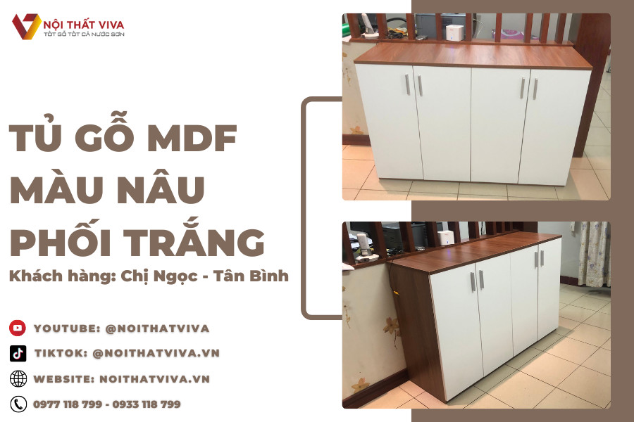 Giao Lắp Tủ Nhỏ Phòng Khách Chị Ngọc - Tân Bình - Sự Lựa Chọn Tối Ưu