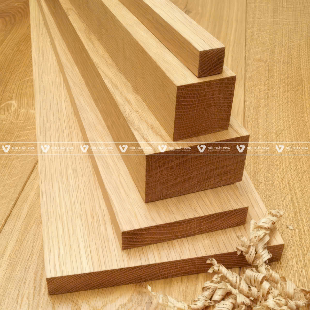 Gỗ sồi (Gỗ Oak): Phân loại và ứng dụng gỗ sồi trong thiết kế nội thất