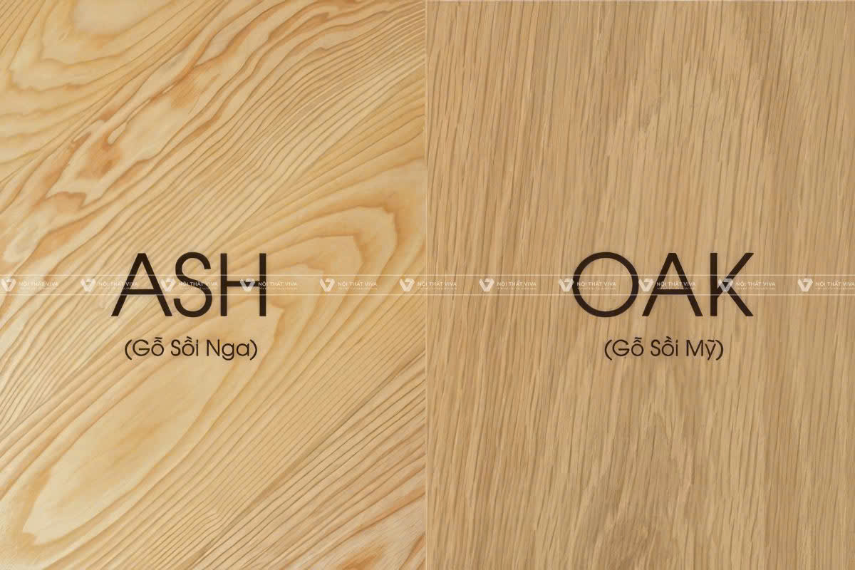 Gỗ sồi (Gỗ Oak): Phân loại và ứng dụng gỗ sồi trong thiết kế nội thất