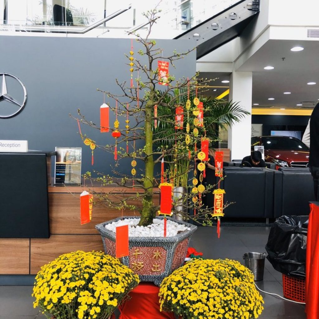 Gợi &yacute; đồ decor ph&ograve;ng kh&aacute;ch ng&agrave;y tết đẹp, ấm c&uacute;ng, hợp phong thủy 