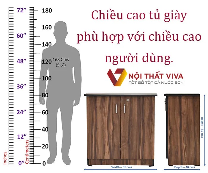 Kích thước tủ giày bao nhiêu là chuẩn? Gợi ý theo phong thủy và loại tủ phổ biến