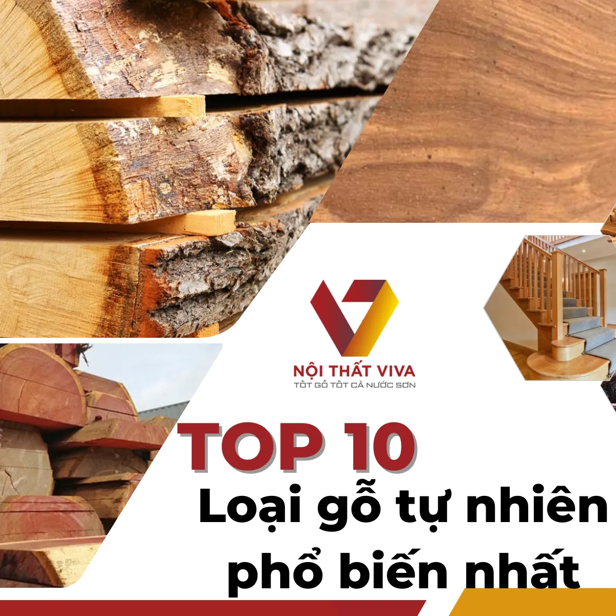 Sofa gỗ nguyên khối có giá bao nhiêu? Cập nhật kích thước, kiểu dáng các mẫu đẹp nhất 