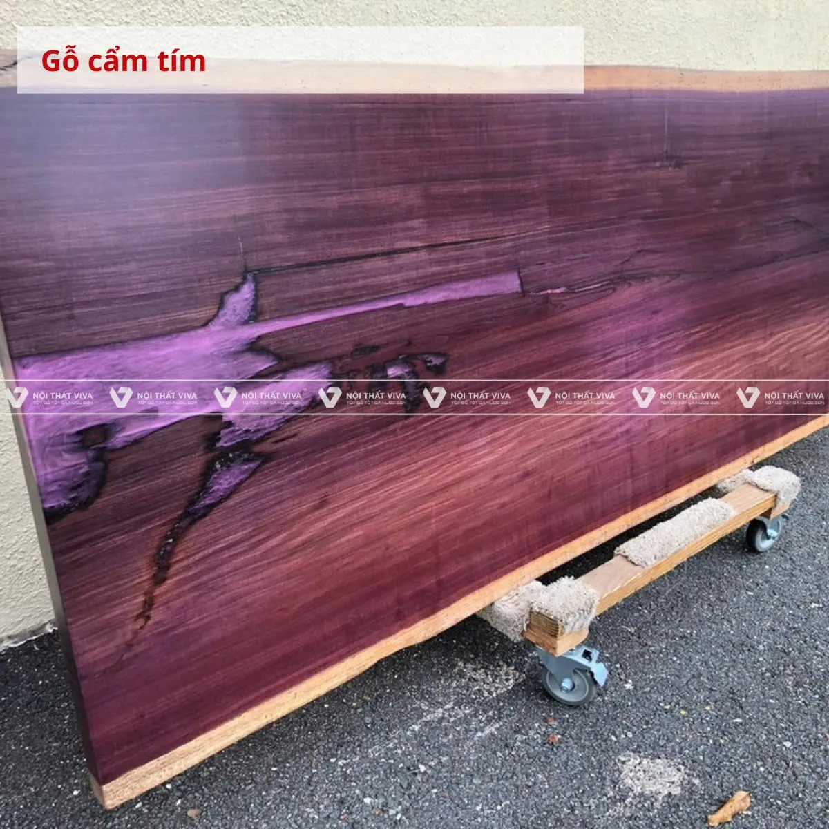 Gỗ cẩm thị là gì? Có tốt không? Ứng dụng của gỗ cẩm thị trong nội thất Gỗ cẩm thị là gì? Có tốt không? Ứng dụng của gỗ cẩm thị trong nội thất