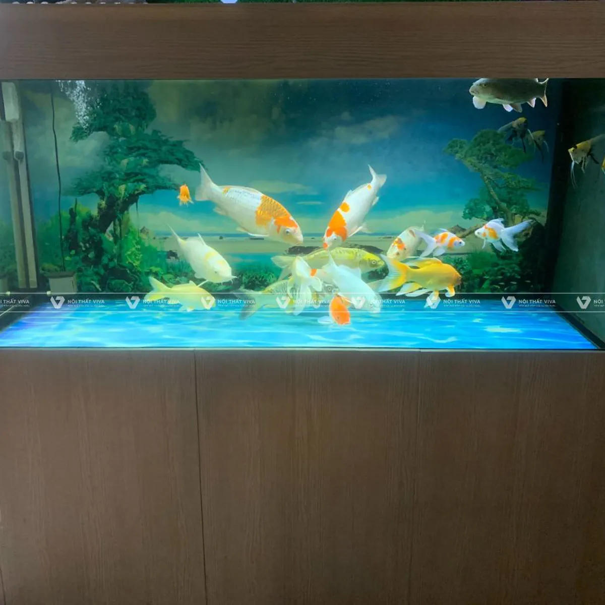 Tủ Bể Cá Tủ Bể Cá