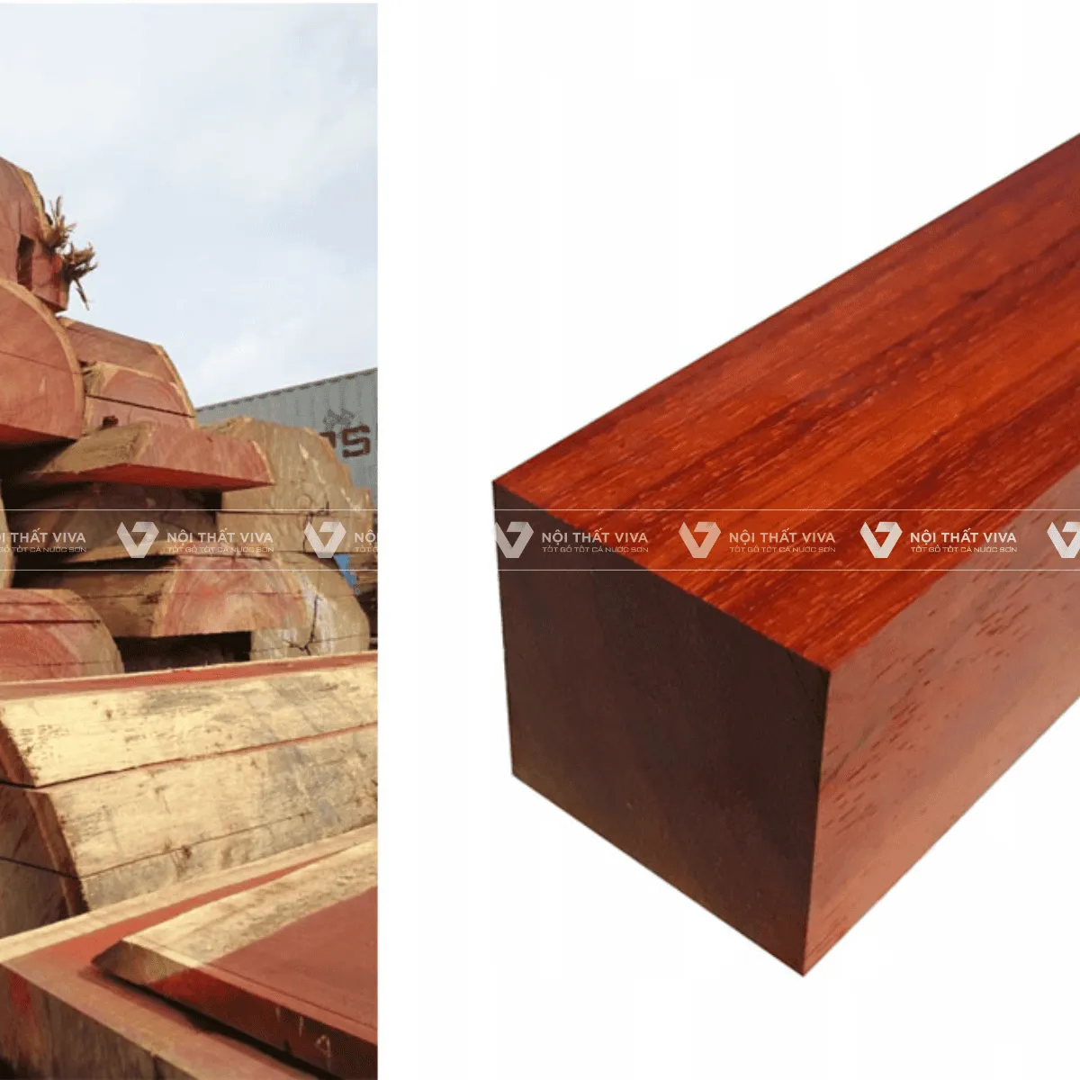 Top 10 loại gỗ tự nhiên phổ biến nhất và ưu, nhược điểm từng loại Top 10 loại gỗ tự nhiên phổ biến nhất và ưu, nhược điểm từng loại