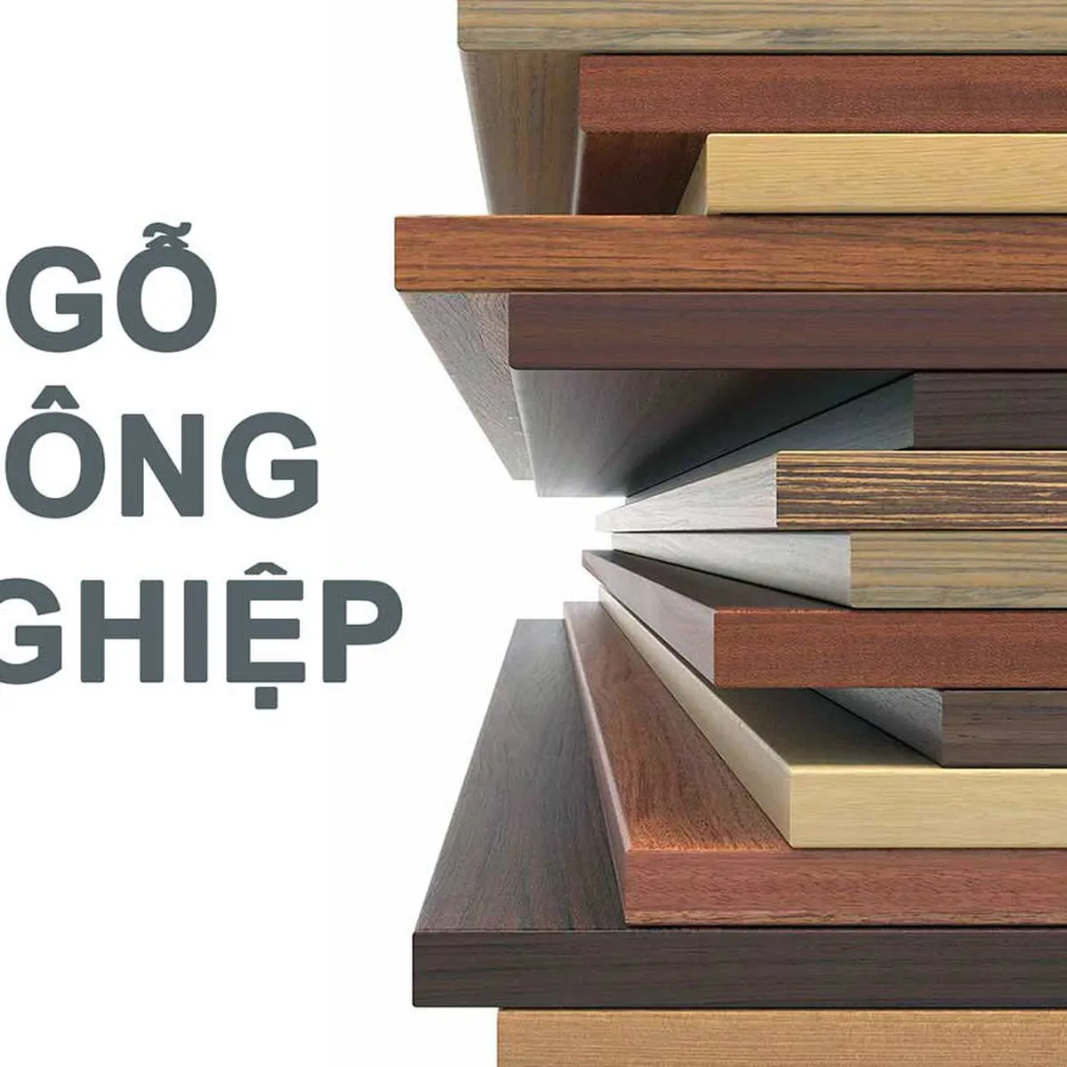 Bảng giá các loại gỗ công nghiệp phổ biến, chi tiết mới nhất  Bảng giá các loại gỗ công nghiệp phổ biến, chi tiết mới nhất