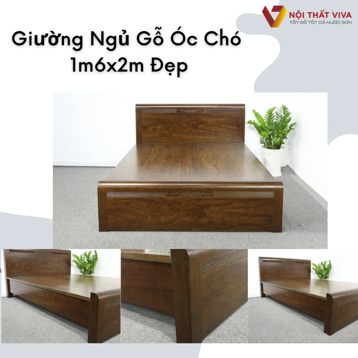 Có nên lựa chọn giường ngủ nhập khẩu hiện đại cho căn hộ của bạn Có nên lựa chọn giường ngủ nhập khẩu hiện đại cho căn hộ của bạn