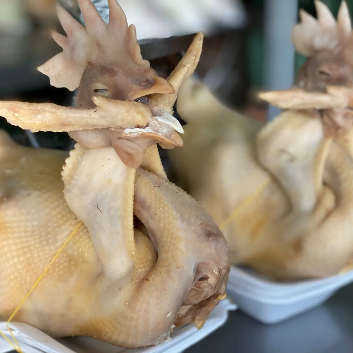 Gà cúng giao thừa quay đầu ra hay vào? Hướng dẫn cách đặt gà cúng chuẩn nhất Gà cúng giao thừa quay đầu ra hay vào? Hướng dẫn cách đặt gà cúng chuẩn nhất