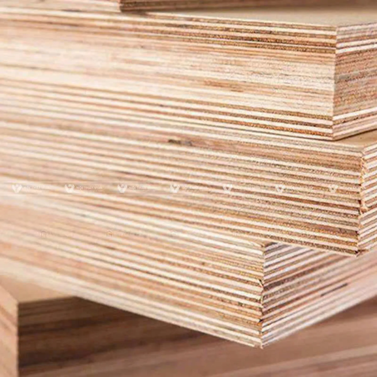 Gỗ An Cường: cập nhật mức giá, đặc điểm và ứng dụng trong nội thất  Gỗ An Cường: cập nhật mức giá, đặc điểm và ứng dụng trong nội thất