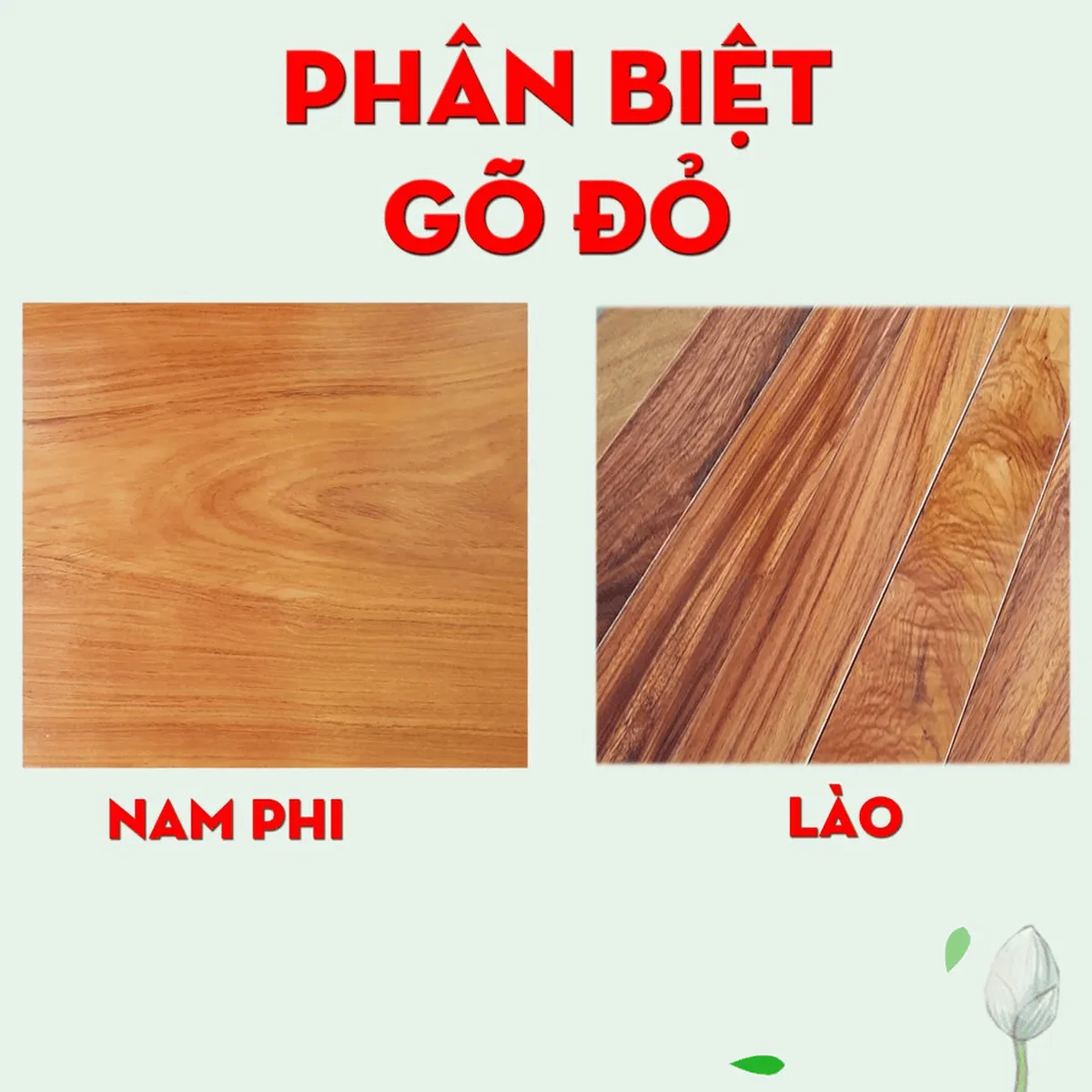 Gỗ gõ đỏ là gì? Từ A đến Z kiến thức về gỗ gõ đỏ  Gỗ gõ đỏ là gì? Từ A đến Z kiến thức về gỗ gõ đỏ