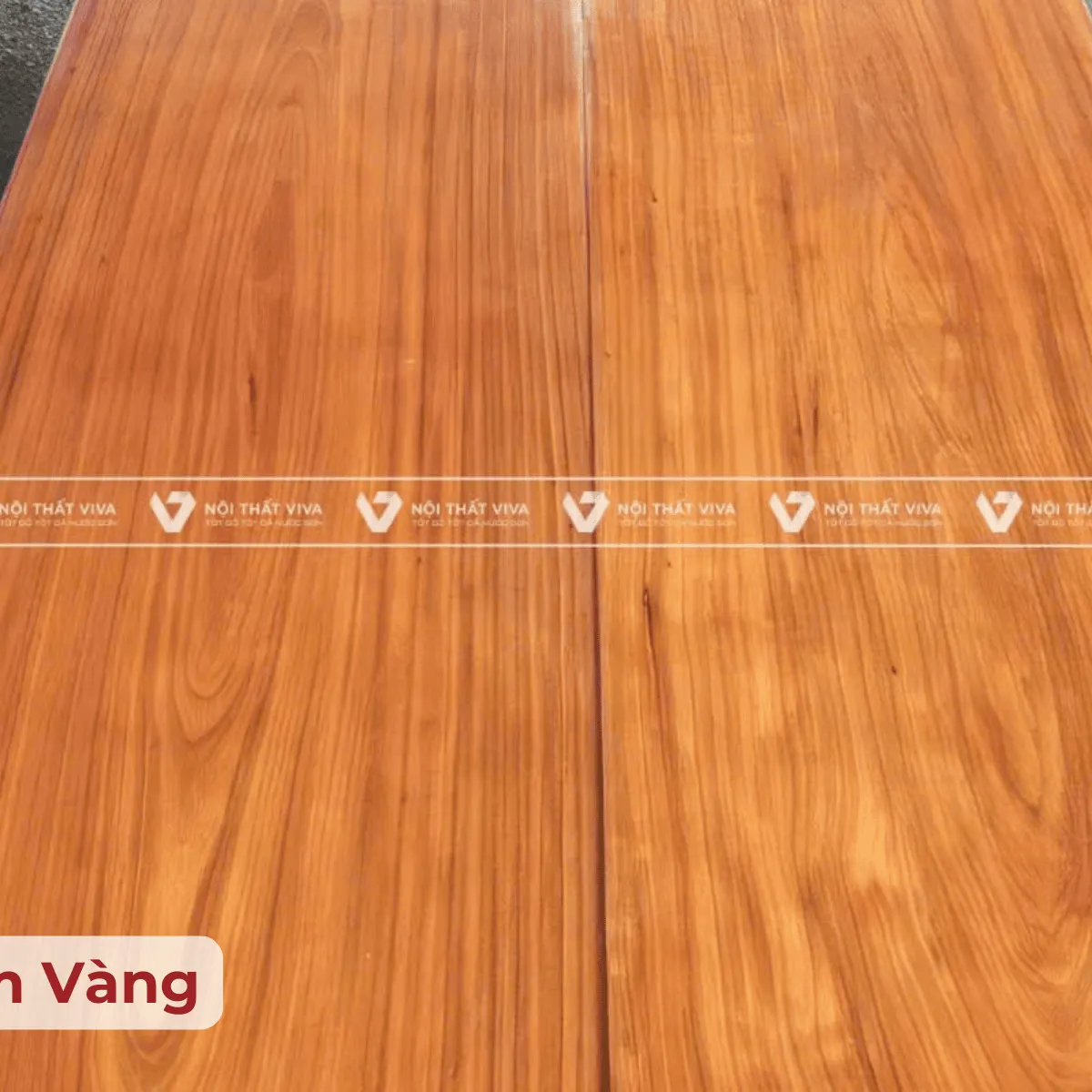 Gỗ lim là gỗ gì? Đặc điểm, ứng dụng và báo giá gỗ lim mới nhất  Gỗ lim là gỗ gì? Đặc điểm, ứng dụng và báo giá gỗ lim mới nhất