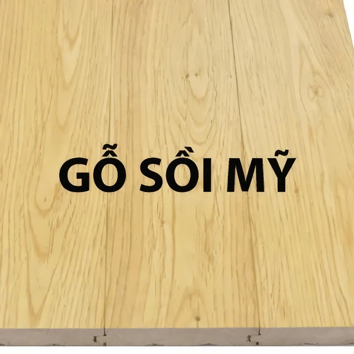 Gỗ sồi (Gỗ Oak): Phân loại và ứng dụng gỗ sồi trong thiết kế nội thất Gỗ sồi (Gỗ Oak): Phân loại và ứng dụng gỗ sồi trong thiết kế nội thất