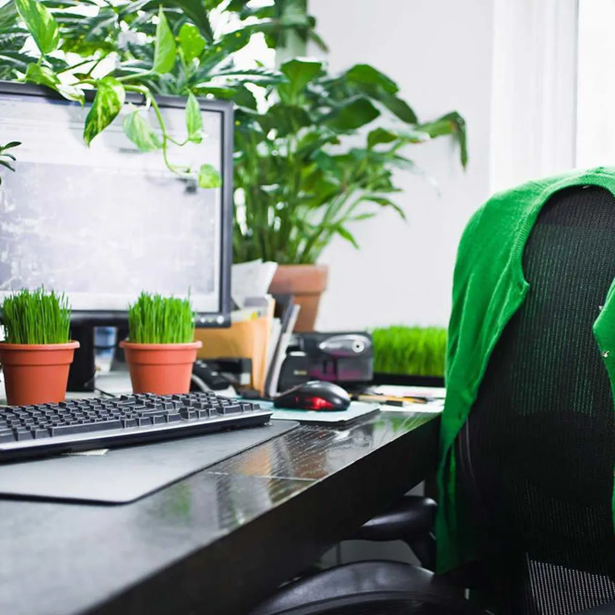 Cách trang trí bàn làm việc văn phòng đơn giản mà đẹp Cách trang trí bàn làm việc văn phòng đơn giản mà đẹp