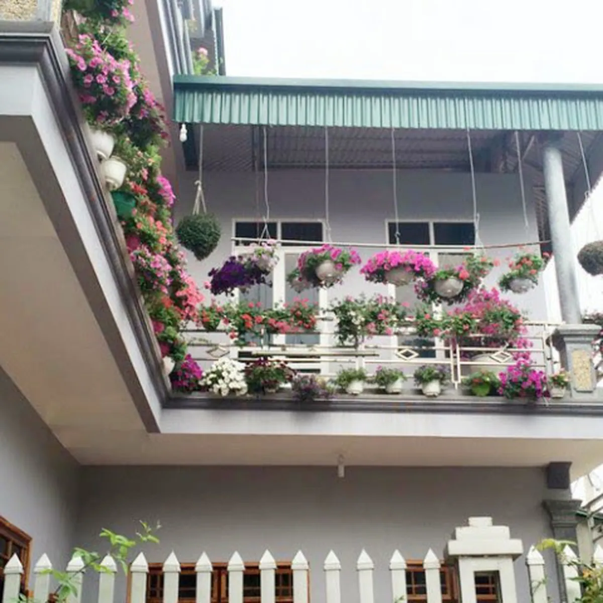 Hướng dẫn trồng cây theo phong thủy ở ban công phù hợp với hướng và mệnh Hướng dẫn trồng cây theo phong thủy ở ban công phù hợp với hướng và mệnh