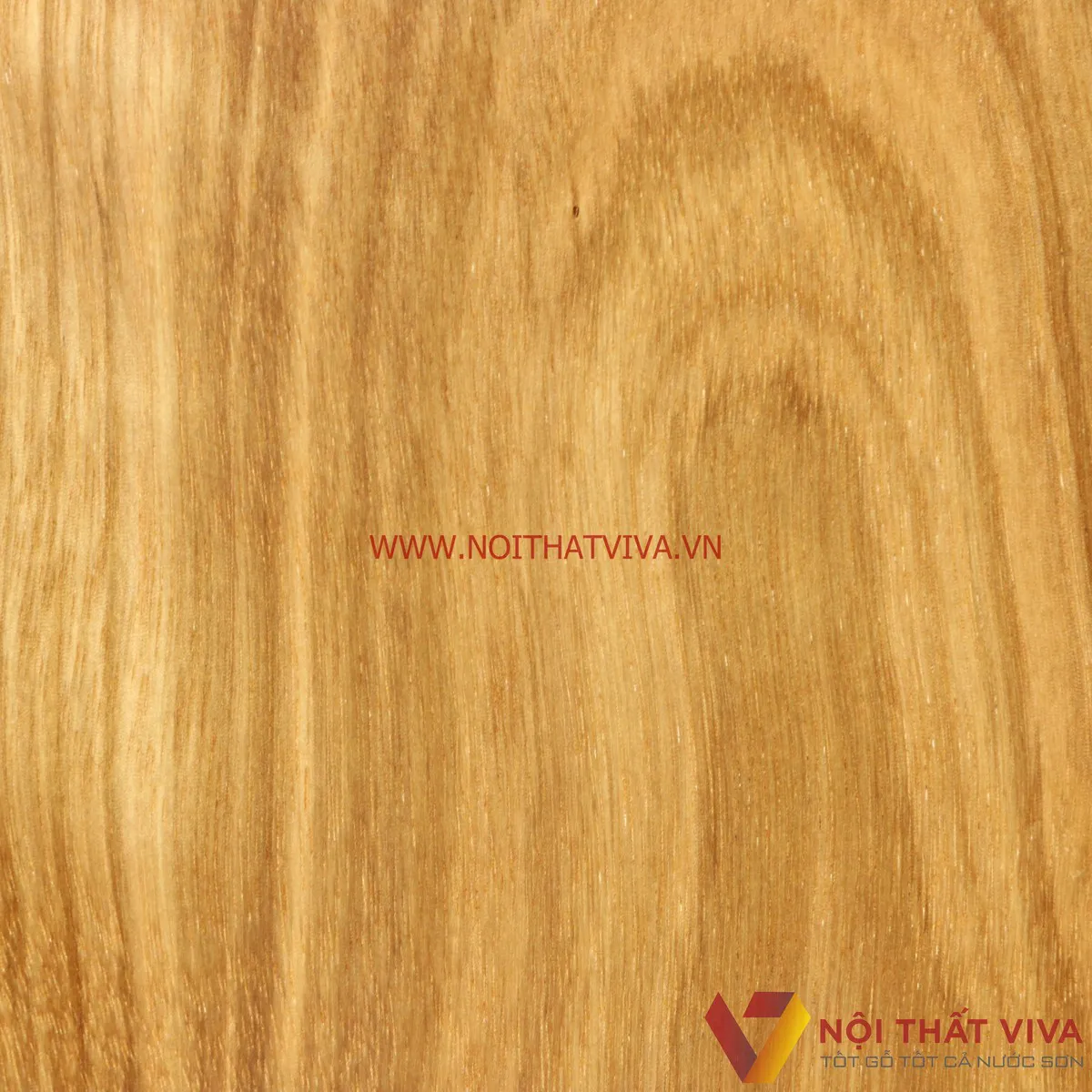 Những thông tin thú vị về tủ áo gỗ Hương Xám không phải ai cũng biết Những thông tin thú vị về tủ áo gỗ Hương Xám không phải ai cũng biết