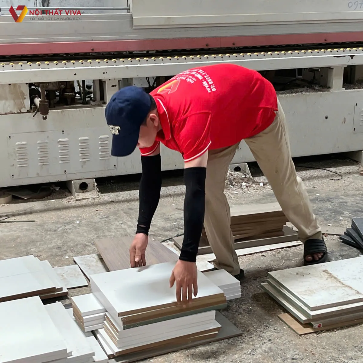 So sánh gỗ Mộc Phát và An Cường - Giá cả, chất lượng hãng nào tốt hơn? So sánh gỗ Mộc Phát và An Cường - Giá cả, chất lượng hãng nào tốt hơn?