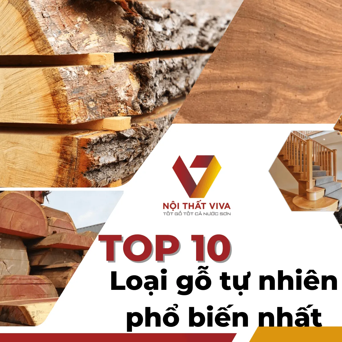 Top 10 loại gỗ tự nhiên phổ biến nhất và ưu, nhược điểm từng loại Top 10 loại gỗ tự nhiên phổ biến nhất và ưu, nhược điểm từng loại
