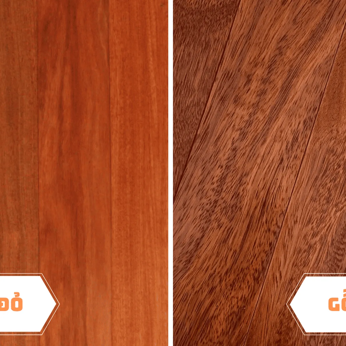 Top 10 loại gỗ tự nhiên phổ biến nhất và ưu, nhược điểm từng loại Top 10 loại gỗ tự nhiên phổ biến nhất và ưu, nhược điểm từng loại