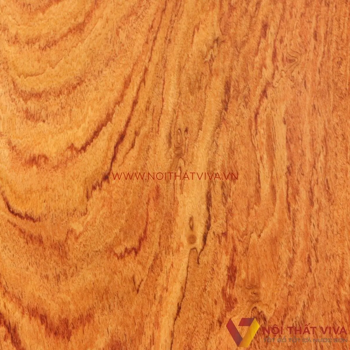 Top 10 loại gỗ tự nhiên phổ biến nhất và ưu, nhược điểm từng loại Top 10 loại gỗ tự nhiên phổ biến nhất và ưu, nhược điểm từng loại