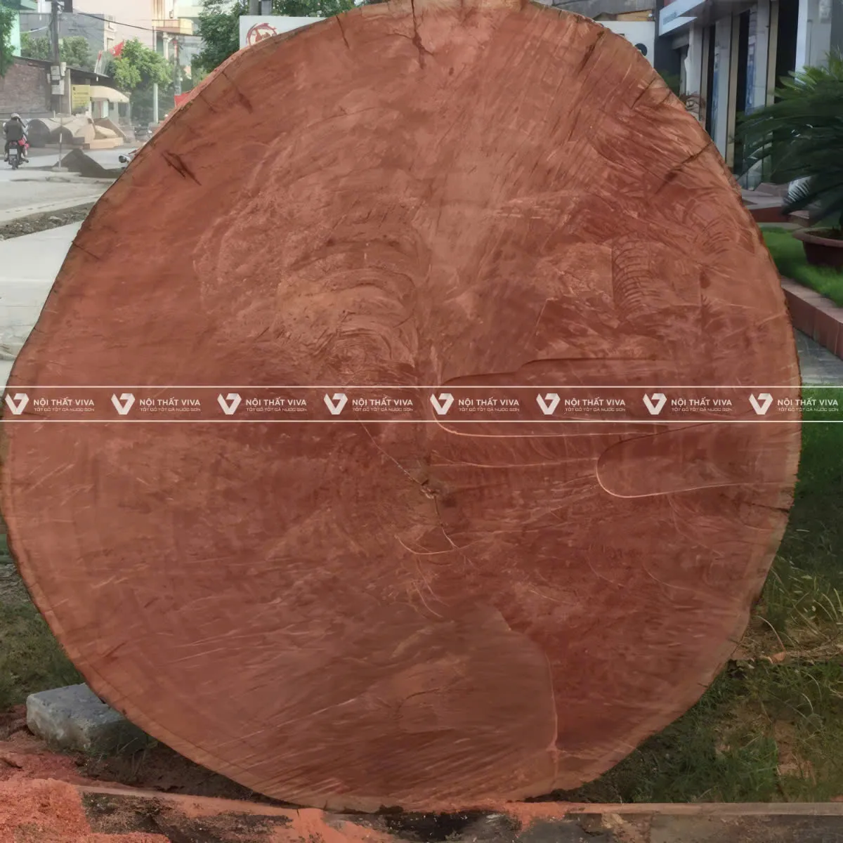 Top 10 loại gỗ tự nhiên phổ biến nhất và ưu, nhược điểm từng loại Top 10 loại gỗ tự nhiên phổ biến nhất và ưu, nhược điểm từng loại