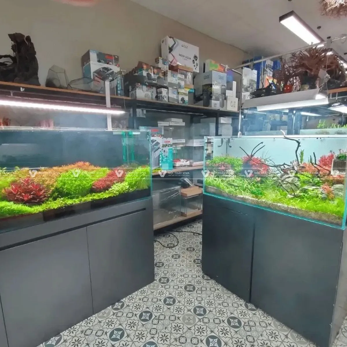 Tủ Bể Cá Tủ Bể Cá