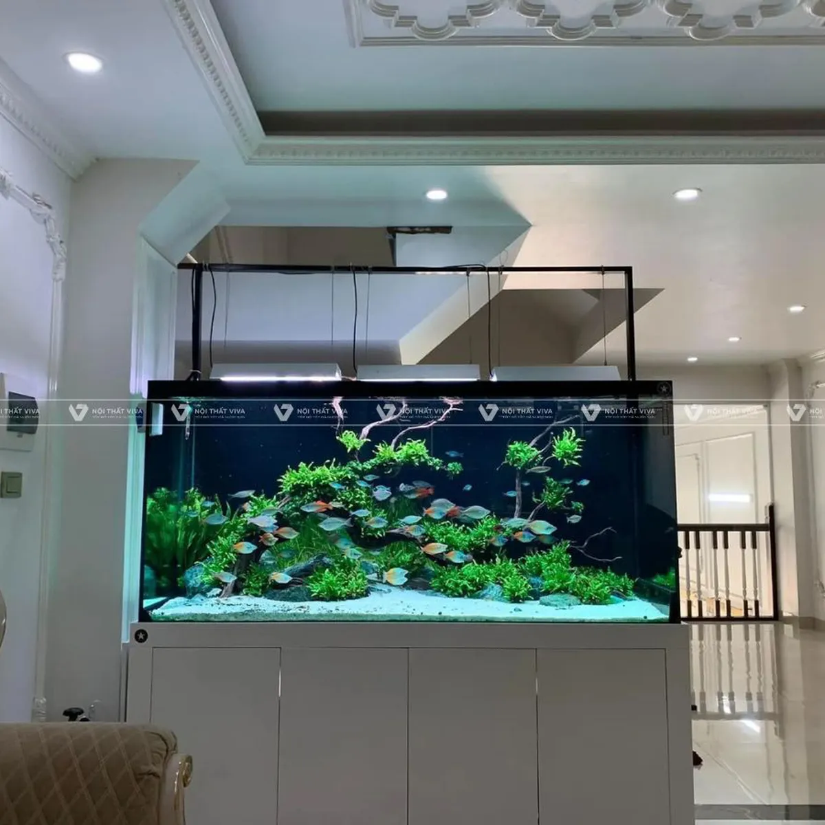 Tủ Bể Cá Tủ Bể Cá