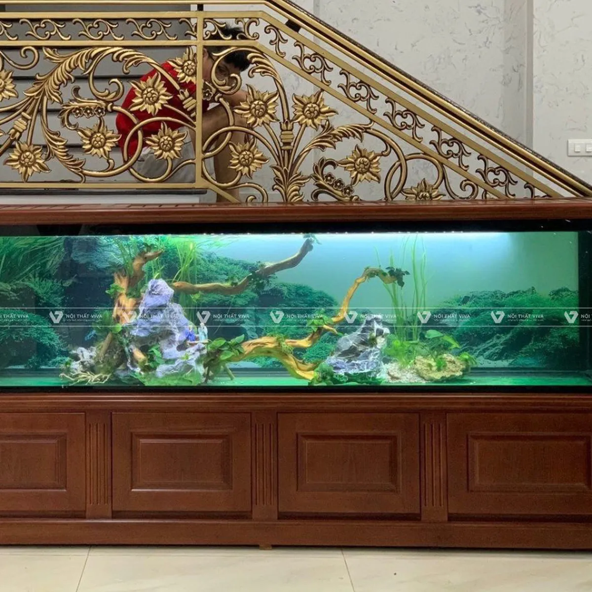Tủ Bể Cá Tủ Bể Cá