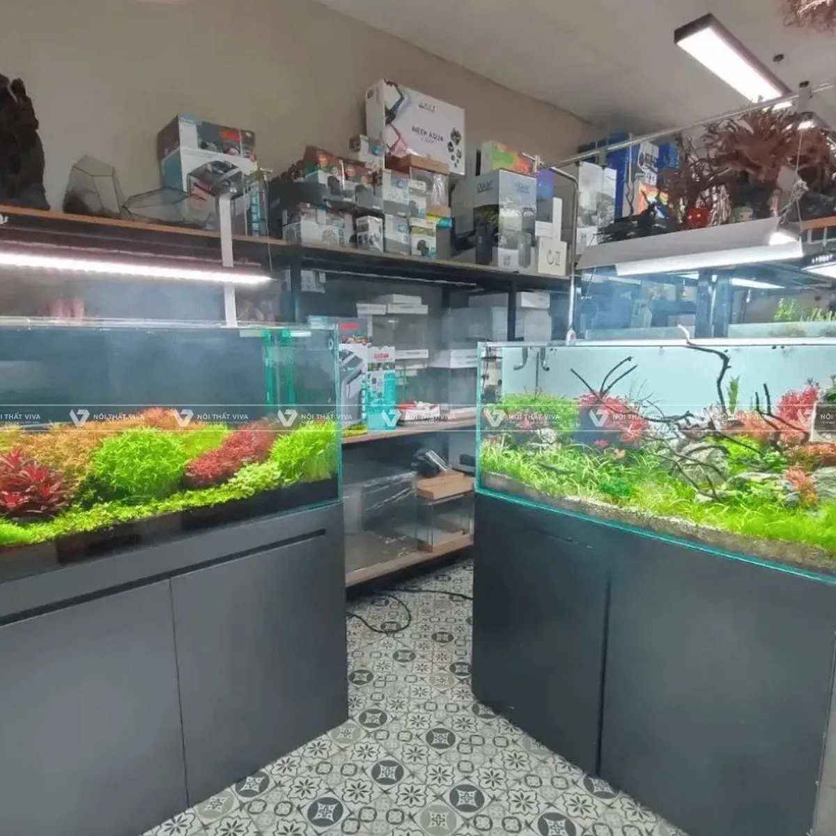 Tủ Bể Cá Tủ Bể Cá